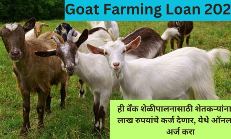 Goat Farming Loan 2023
